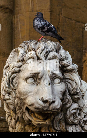 Colombe perchée sur la tête d'une sculpture d'un lion Banque D'Images