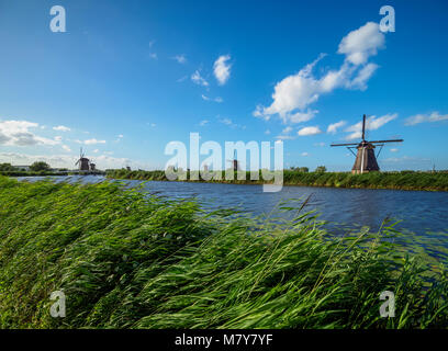 Les moulins à vent de Kinderdijk, UNESCO World Heritage Site, Hollande méridionale, Pays-Bas Banque D'Images