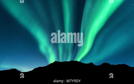 Aurora et silhouette de montagnes. Les îles Lofoten, Norvège. Aurora Borealis. Northern Lights vert. Ciel avec les étoiles et les lumières polaires. Paysage de nuit Banque D'Images