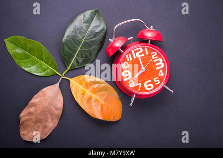 Autre couleur et l'âge des feuilles de l'arbre feuilles de jackfruit frais vert à brun et sec réveil rouge sur fond noir. Pour le temps et l'env Banque D'Images