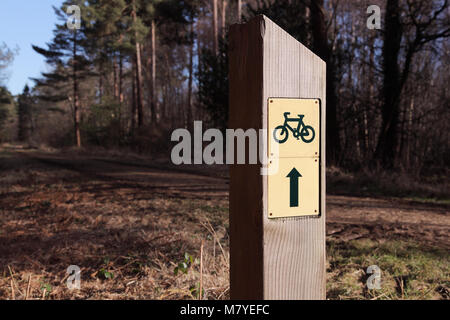 Route des cycles forestiers/forestiers, panneau de marquage de la voie de circulation avec flèche Banque D'Images