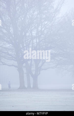 Le jogging dans le parc avec brume matinale Banque D'Images