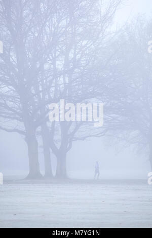 Le jogging dans le parc avec brume matinale Banque D'Images