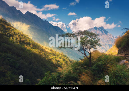 Belle arbre seul contre des montagnes de l'Himalaya avec les cimes enneigées, des forêts d'arbres verts, ciel bleu avec des nuages dans le Népal au coucher du soleil. La Banque D'Images