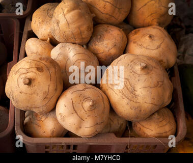 Haricot igname chinois en vente sur un étal de marché, la Malaisie. Pachyrhizus sec erosus, communément appelé le jicama Banque D'Images