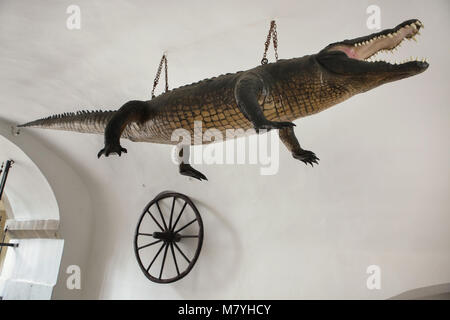 Brno Dragon (Brněnský drak) et la roue de Brno (Brněnské kolo) installés dans le passage de l'Ancien hôtel de ville (Stará radnice) à Brno, République tchèque. Banque D'Images