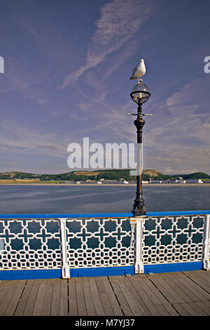 Seagull perché sur un lampadaire jetée de Llandudno, côte Nord du Pays de Galles Banque D'Images