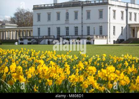 Greenwich, Royaume-Uni. 14 mars, 2018. Les jonquilles en face de la Maison de la Reine à Greenwich. Il a été d'une journée ensoleillée à Greenwich avec ciel bleu et les températures chaudes. Rob Powell/Alamy Live News Banque D'Images