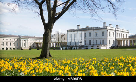 Greenwich, Royaume-Uni. 14 mars, 2018. Les jonquilles en face de la Maison de la Reine à Greenwich. Il a été d'une journée ensoleillée à Greenwich avec ciel bleu et les températures chaudes. Rob Powell/Alamy Live News Banque D'Images