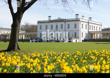 Greenwich, Royaume-Uni. 14 mars, 2018. Les jonquilles en face de la Maison de la Reine à Greenwich. Il a été d'une journée ensoleillée à Greenwich avec ciel bleu et les températures chaudes. Rob Powell/Alamy Live News Banque D'Images