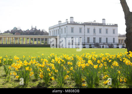 Greenwich, Royaume-Uni. 14 mars, 2018. Les jonquilles en face de la Maison de la Reine à Greenwich. Il a été d'une journée ensoleillée à Greenwich avec ciel bleu et les températures chaudes. Rob Powell/Alamy Live News Banque D'Images