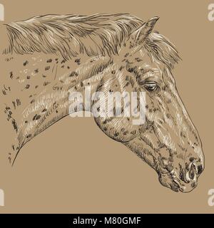 Appaloosa Horse portrait. La tête du cheval repéré dans le profil en noir et blanc isolé sur fond beige. Vector illustration dessin à la main Illustration de Vecteur