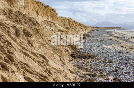 UK, Anglesey, Newborough, 11 mars 2018. L'érosion des dunes de sable vers l'Détroit de Menai sur plage Llanddwyn. Banque D'Images