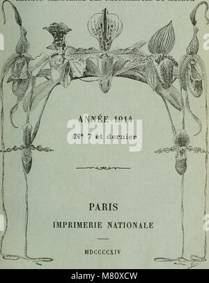 Bulletin du Muséum national d'histoire naturelle (1914) (14785043095) Banque D'Images