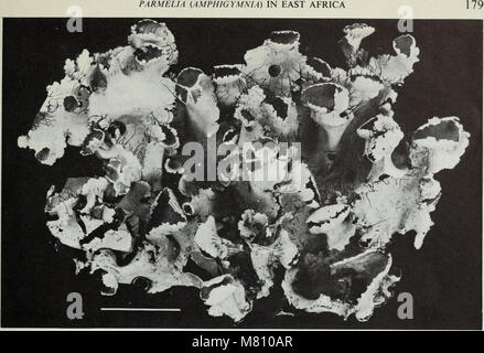 Bulletin of the British Museum (Natural History) (1981) (19822835923) Banque D'Images
