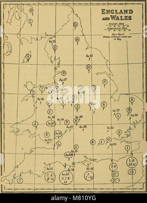 Bulletin of the British Ornithologists' Club (1912) (14563258968) Banque D'Images