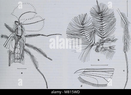 Bulletin du Musée d'histoire naturelle de la géologie (2000) (19873647853) Banque D'Images