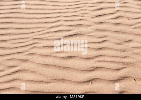 Oceano Dunes State Vehicular Recreation Area en Californie Banque D'Images