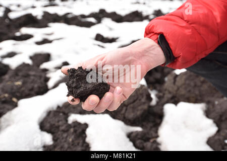 Homme tenant la saleté de la terre noire fertile tchernoziom de oblast de Voronej au printemps Banque D'Images