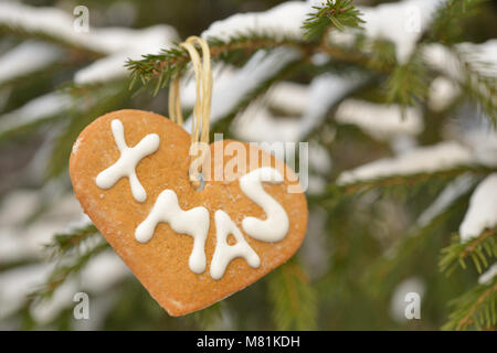 Biscuits de Noël sur un sapin enneigé à l'extérieur. Selective focus sur les cookies Banque D'Images