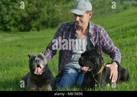 Homme jouant avec ses chiens dans le parc Banque D'Images