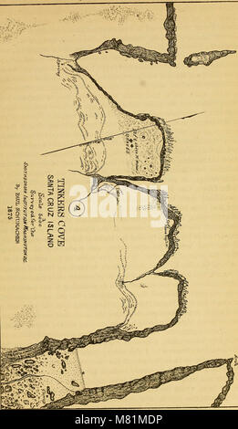 Bulletin de l'United States Geological Survey et géographique des territoires (1877) (20497176505) Banque D'Images