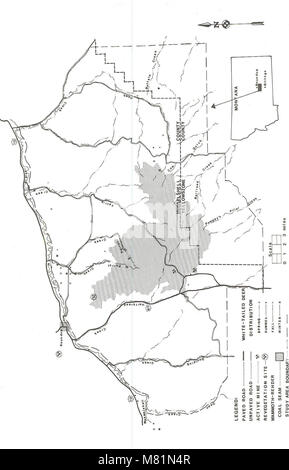 Étude sur le terrain du charbon des Montagnes de Bull - Rapport final (1978) (20509677075) Banque D'Images