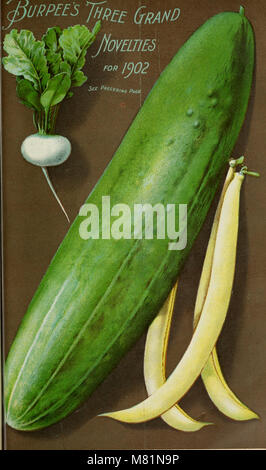 Burpee's 1902 annuelle ferme - légumes, de fleurs et de semences de ferme (1902) (19941111824) Banque D'Images