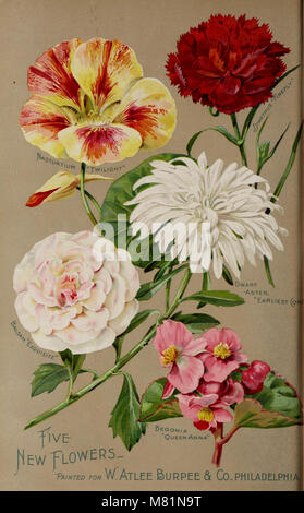 Le catalogue annuel agricole 1902 de Burpee fournit une liste complète des semences de légumes, de fleurs et de fermes, avec des détails sur les instructions de plantation et les variétés de semences pour les jardiniers et les agriculteurs. Banque D'Images