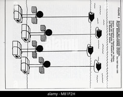 Buzzards Bay moules en cage étude de biosurveillance pilote, 1987-1988 (1990) (19888765044) Banque D'Images