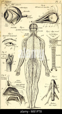 'Cahiers d'histoire naturelle' (1844) est un texte éducatif conçu pour être utilisé dans les collèges, les institutions religieuses et les écoles primaires. Il se concentre sur l'histoire naturelle, fournissant un aperçu de l'étude des animaux, des plantes et des écosystèmes, en mettant l'accent sur l'utilisation éducative. Banque D'Images