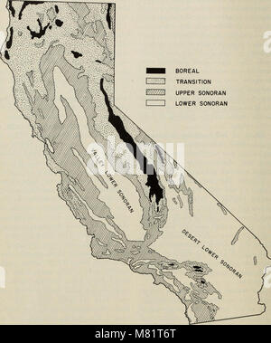 Les prairies de la Californie et de la gamme de graminées fourragères (0724) (20505909602) Banque D'Images