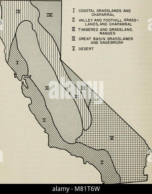 Les prairies de la Californie et de la gamme de graminées fourragères (0724) (20505915902) Banque D'Images