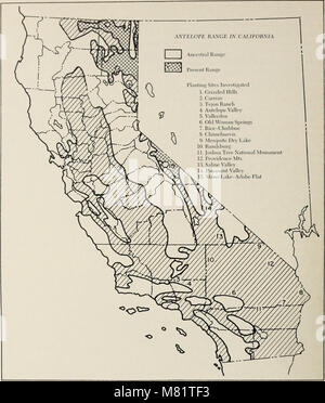 Plage Californie broussailles et toutes les plantes (1963) (20327294910) Banque D'Images