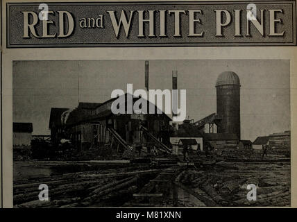 Les Industries forestières canadiennes (1911) présentent un rapport sur les industries forestières et du bois d'oeuvre au Canada, mettant en évidence les pratiques forestières, la production de bois d'oeuvre, le commerce et les contributions économiques de l'industrie à l'économie nationale. Banque D'Images
