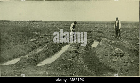 « Sucre de canne » (1921) est un manuel sur les processus agricoles impliqués dans la culture de la canne à sucre et la production de sucre de canne. Il couvre les techniques de culture, les procédés de fabrication et l'analyse des produits sucriers, servant de guide complet pour l'industrie sucrière. Banque D'Images
