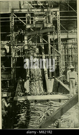 Le sucre de canne ; un manuel sur l'agriculture de la canne à sucre, la fabrication de sucre de canne, et l'analyse du sucre produits maison (1921) (14803770673) Banque D'Images