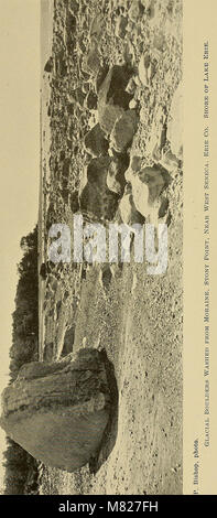 Le Bulletin 1898 du New York State Museum présente des articles sur la géologie, la paléontologie et l'anthropologie, avec un accent sur les recherches du musée et les nouvelles découvertes scientifiques de l'époque. Banque D'Images