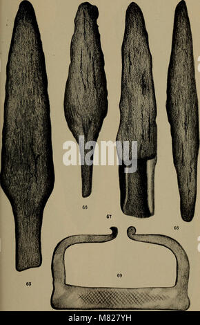 Bulletin - New York State Museum (1902) (20255524849) Banque D'Images