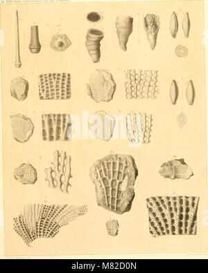 Carbonformation und dyas au Nebraska (1866) (20345824360) Banque D'Images