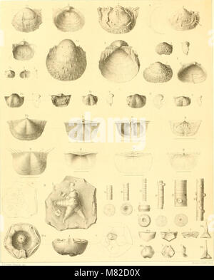 Carbonformation und dyas au Nebraska (1866) (20533898045) Banque D'Images