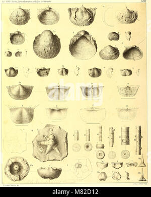 Carbonformation und Dyas au Nebraska (1866) (20533907845) Banque D'Images