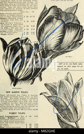 Ce catalogue 1897 de Currie Bros. offre une variété de bulbes et de plantes robustes, fournissant des détails sur leurs types, leurs conditions de croissance et les meilleures pratiques de plantation pour les jardiniers à la recherche d'espèces végétales durables et diversifiées pour différents climats. Banque D'Images