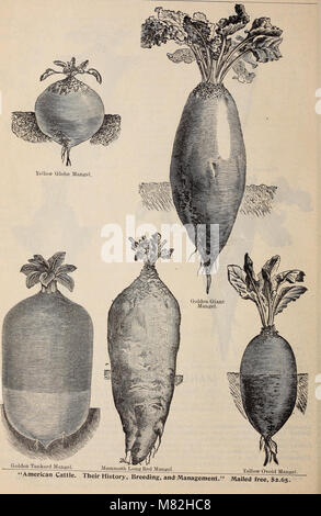 Catalogue de semences, de fournitures agricoles et horticoles et un guide pour le jardin, le champ et la ferme (1897) (20396588838) Banque D'Images