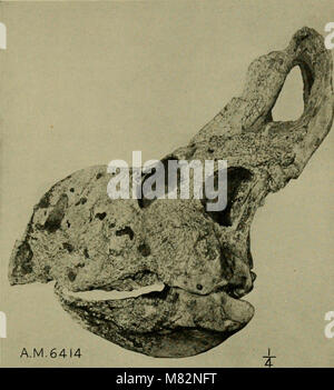 Cette publication documente les expéditions en Asie centrale dirigées par Roy Chapman Andrews, en se concentrant sur les découvertes préliminaires en géologie, paléontologie et zoologie. Les expéditions ont contribué aux découvertes majeures de l'exploration scientifique du début du XXe siècle. Banque D'Images