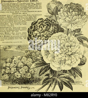 Childs' automne catalogue de bulbes et plantes qui fleurissent (1902) (14761282596) Banque D'Images