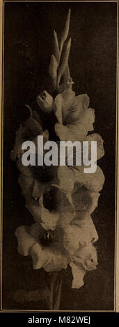Printemps 1922 - Des enfants qui remplissent les graines des plantes qui s'il vous plaît les bulbes Fleurs fruits que Bear (1922) (14770976444) Banque D'Images