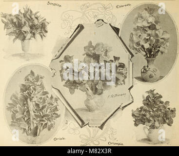 Les sélections de choix dans les graines et les plantes (1895) (20600940702) Banque D'Images