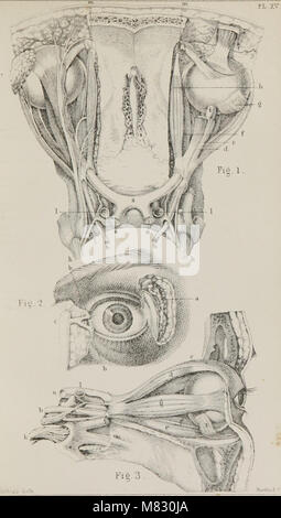 Class-livre de physiologie - pour l'utilisation d'écoles et les familles - comprenant la structure et des fonctions des organes de l'homme, illustrée par référence comparative à ceux des animaux de qualité inférieure (1860) (14757333486) Banque D'Images