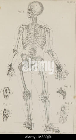 Class-livre de physiologie - pour l'utilisation d'écoles et les familles - comprenant la structure et des fonctions des organes de l'homme, illustrée par référence comparative à ceux des animaux de qualité inférieure (1860) (14780356235) Banque D'Images